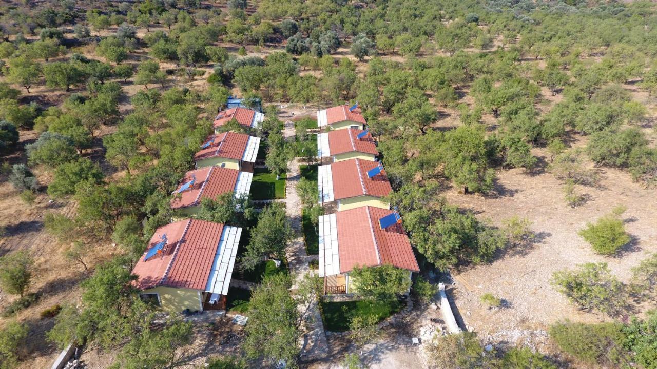 Hotel Selerdoga Evleri Palamutbuku Exterior foto