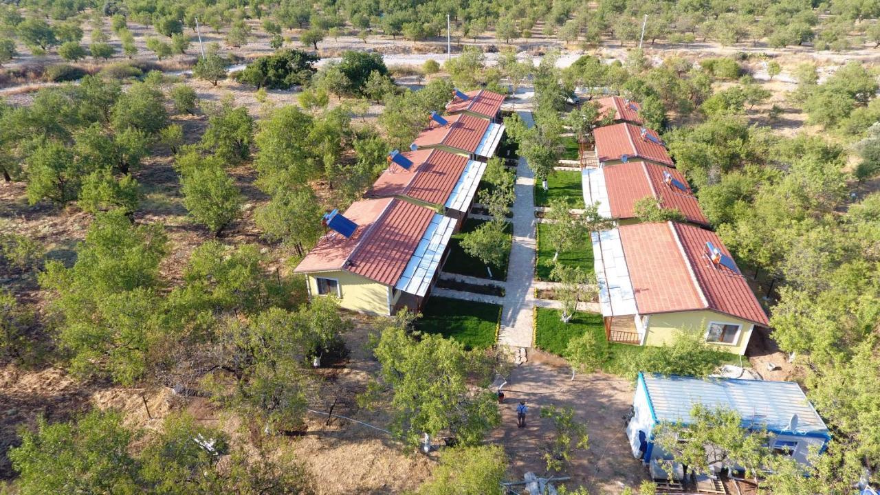 Hotel Selerdoga Evleri Palamutbuku Exterior foto